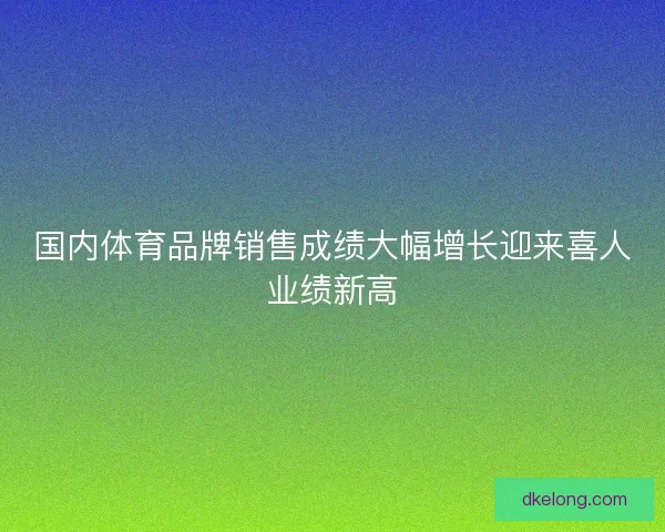 国内体育品牌销售成绩大幅增长迎来喜人业绩新高